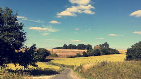 Picture